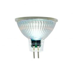 MR16 LED Bulbs