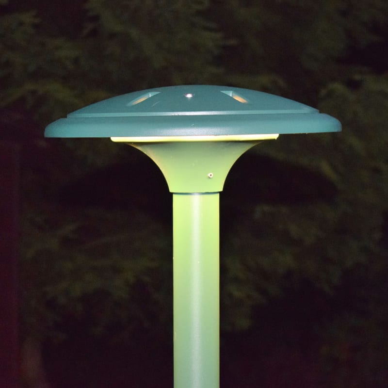 Enterprise - Large LED Spread Light with Root Mount - Image 6