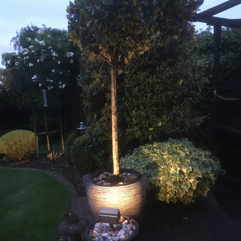 Charleston Cobra 12v Mini Floodlight Clear/Frosted Lens, Brass - Image 5