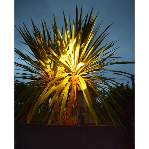 Charleston Minilite - Mini Spotlight - Aged Silver Finish - Solid Brass (12V Plug and Play) - Image 5