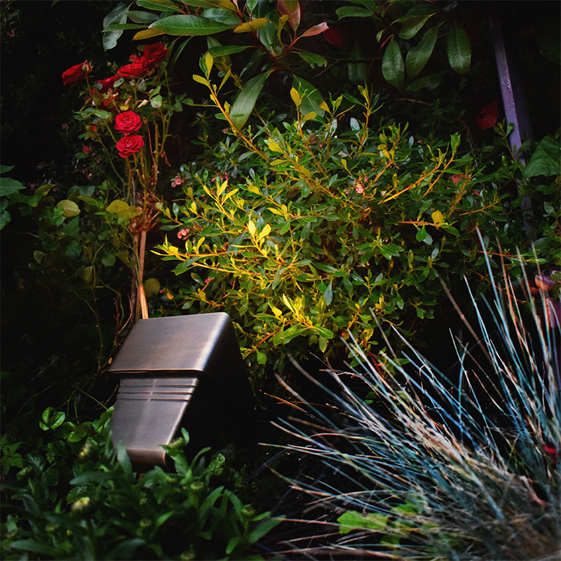 Charleston Cobra Maxi-Flood | 12v Plug & Play Brass Floodlight - Frosted Lens - Image 2