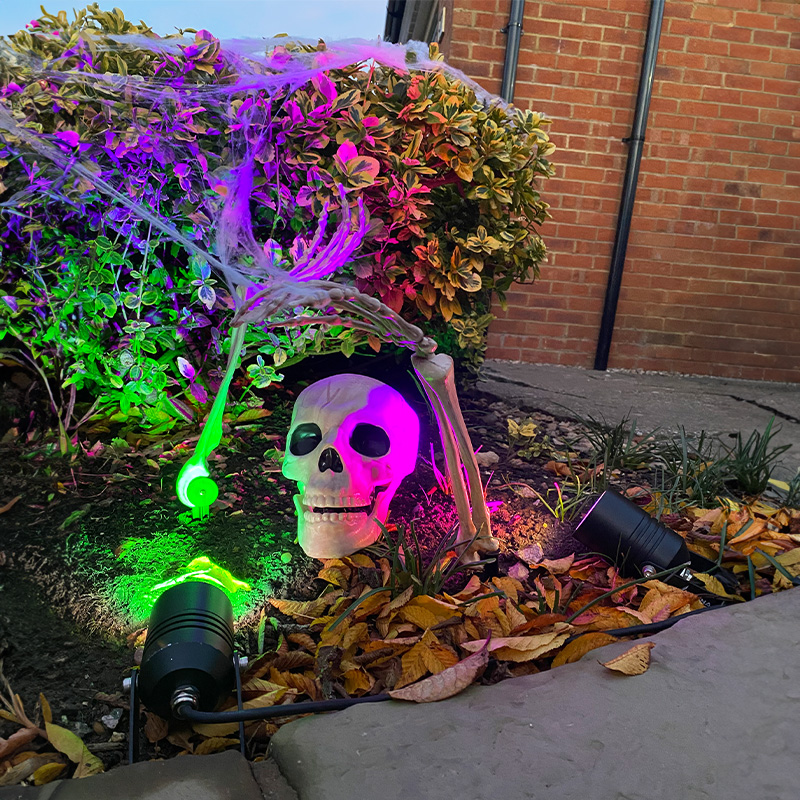 Dichroic Glass Lenses - 50mm - 7 Colours - Image 2