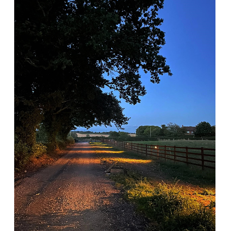 Alvaspot - Single Titanium Outdoor Spotlight 12v - MR16 - Image 4