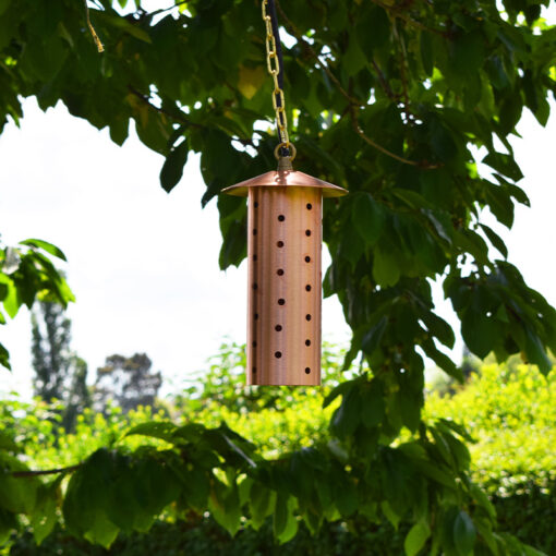 Starlight Natural Copper - 12V Plug & Play Hanging Light - Image 2