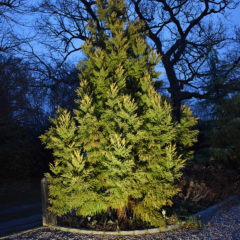 ParFlood 38 - PAR38 Floodlight / Uplight - Image 2