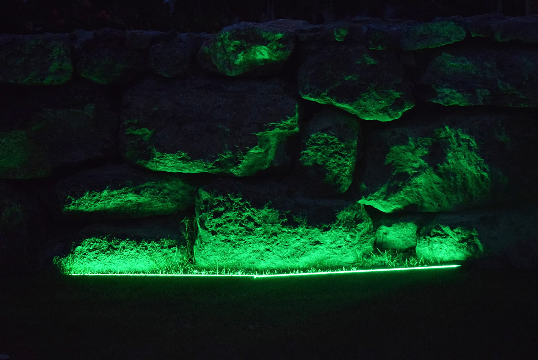green strip light - lediflex