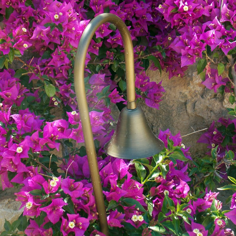 Charleston Flora - Solid Brass Fixed Spreadlight (12v) - Image 2